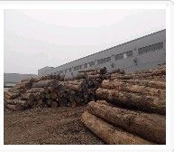 供應(yīng)無(wú)錫木材銷售行業(yè)專家【富萬(wàn)建筑】值得信賴 百姓口碑_交通運(yùn)輸_世界工廠網(wǎng)中國(guó)產(chǎn)品信息庫(kù)
